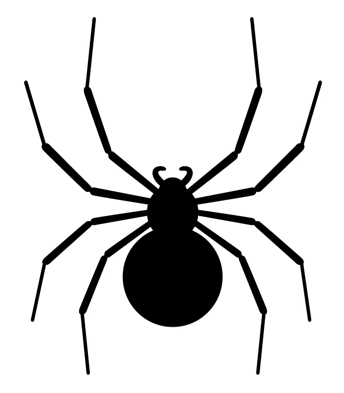 Spider - Pest Proof