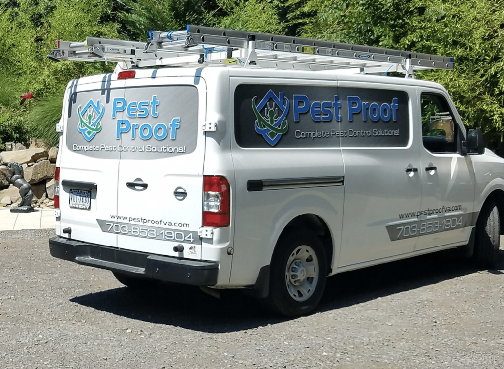 Pest Proof - Website 3